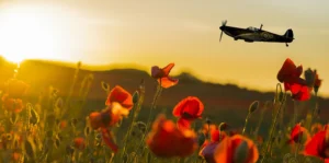 Honouring Remembrance Day 2025 image from Sykes Stairlifts